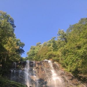 Meet your Posher, Tayler